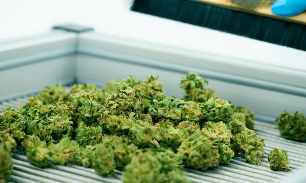 photo_2025-10-02_15-55-56