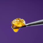 CBD Full-Spectrum Oil – Entourage Effect, THC-Free